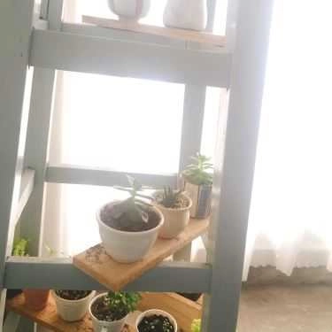 Tổng hợp- Thinh Coffee - Acoustic