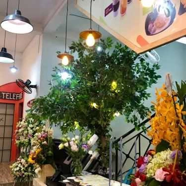 Tổng hợp- Thính Coffee & Tea