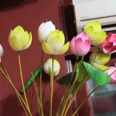 Tổng hợp- Quán Ăn Quán Lức Khai Minh - Đồng Đen