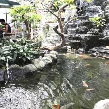 Tổng hợp- Thủy Mộc Cafe - Lê Lợi