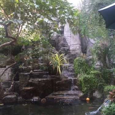 Tổng hợp- Thủy Mộc Cafe - Lê Lợi