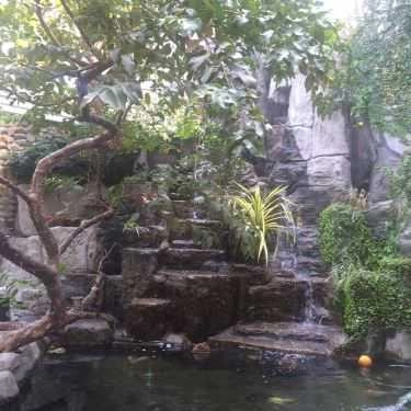 Tổng hợp- Thủy Mộc Cafe - Lê Lợi