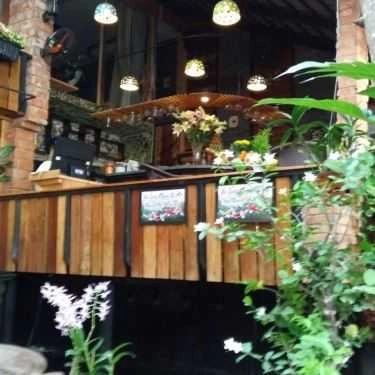 Không gian- Thủy Mộc Cafe - Cafe Cá Koi