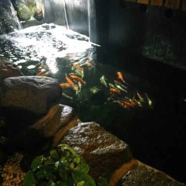 Không gian- Thủy Mộc Cafe - Cafe Cá Koi