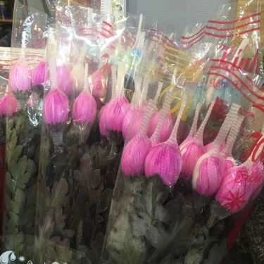 Tổng hợp- Hoa cưới, shop hoa Thuỷ Mộc Flowers
