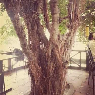 Tổng hợp- Thủy Nguyên Cafe