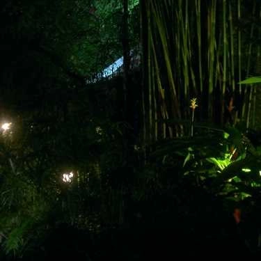 Không gian- Thủy Trúc Cafe - Bùi Thị Xuân