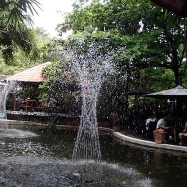 Tổng hợp- Thủy Trúc Cafe - Cafe Sân Vườn