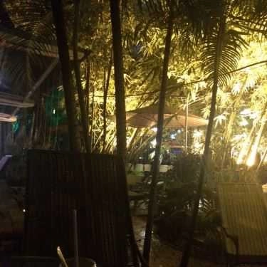 Tổng hợp- Thủy Trúc Cafe - Cafe Sân Vườn