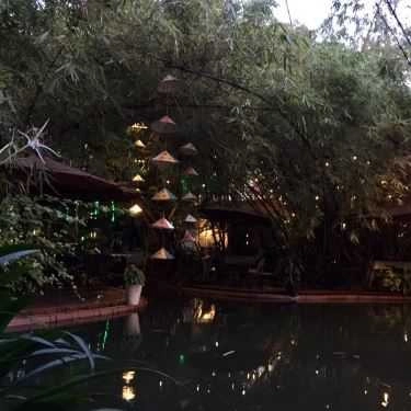 Tổng hợp- Thủy Trúc Cafe - Cafe Sân Vườn