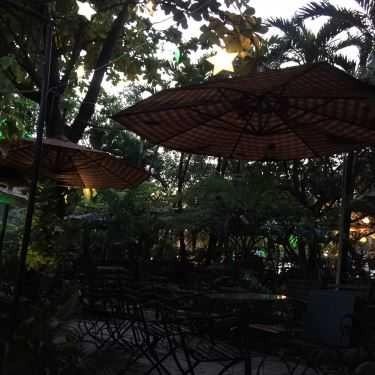Tổng hợp- Thủy Trúc Cafe - Cafe Sân Vườn