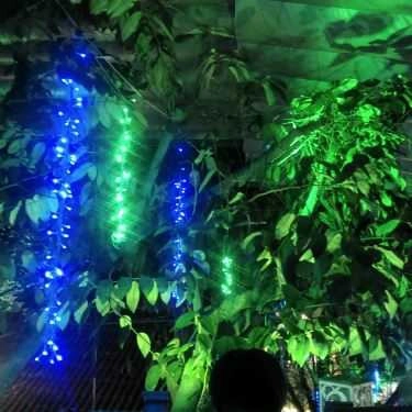 Tổng hợp- Tí Tách Cafe