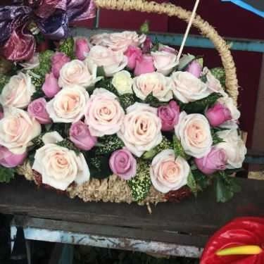 Tổng hợp- Bigcake - Tiệm Bánh Kem