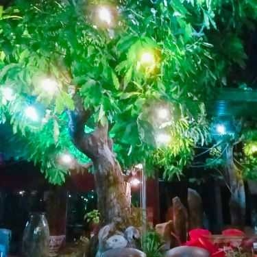 Không gian- Tiếng Thu Cafe