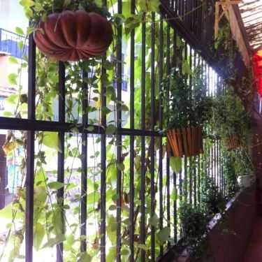 Tổng hợp- Tigôn Cafe - Yên Thế