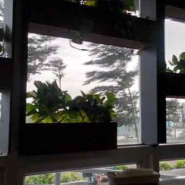 Tổng hợp- Cafe Tik Tak Tea - Food & Berverage