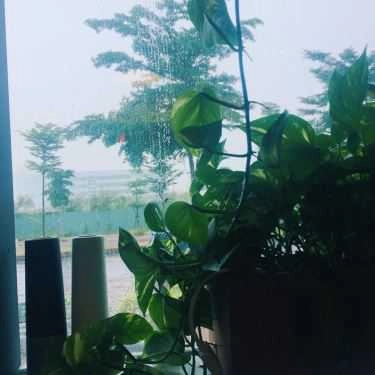 Tổng hợp- Cafe Tik Tak Tea - Food & Berverage