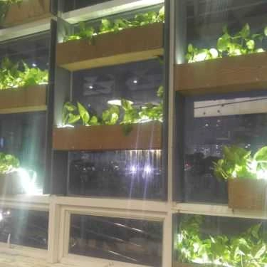 Tổng hợp- Cafe Tik Tak Tea - Food & Berverage