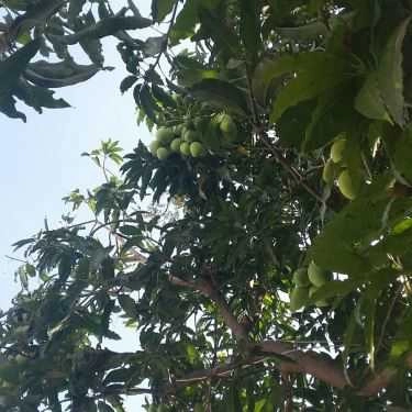 Tổng hợp- Coffee Time - Cà Phê Sân Vườn Biệt Thự
