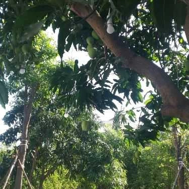Tổng hợp- Coffee Time - Cà Phê Sân Vườn Biệt Thự
