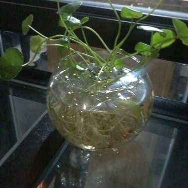 Tổng hợp- Time Coffee & Foods