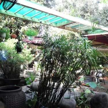 Không gian- Cafe Tịnh Trà Quán