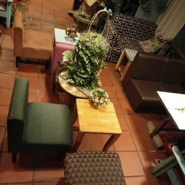 Tổng hợp- Tiny Garden - Cafe Sách