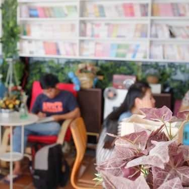 Tổng hợp- Tiny Garden - Cafe Sách