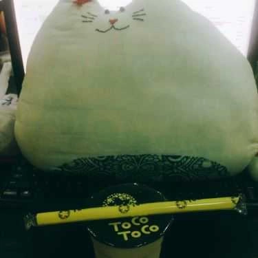 Tổng hợp- Cafe TocoToco Bubble Tea - Nguyễn Gia Trí