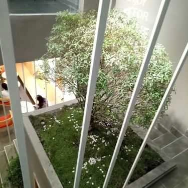 Tổng hợp- Cafe Toocha Việt Nam - Trà Sữa Chánh Tông Đài Loan - 103 Dân Chủ