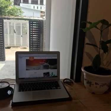 Tổng hợp- Totto Chan - Tea & Coffee