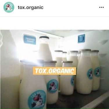 Tổng hợp- Cafe Sữa Tươi Tox.organic