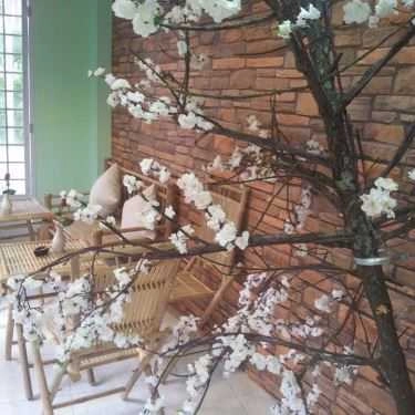 Không gian- Cafe Trà Quán Thu Hà Nội - Út Tịch