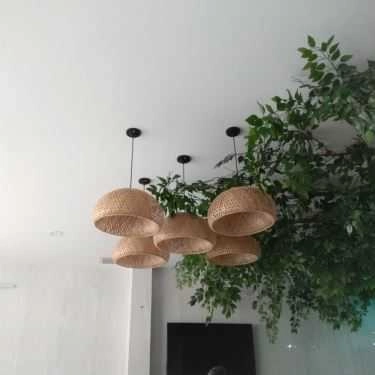 Tổng hợp- Cafe Trà Sữa Alishan