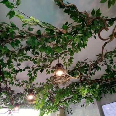 Tổng hợp- Cafe Trà Sữa Alishan