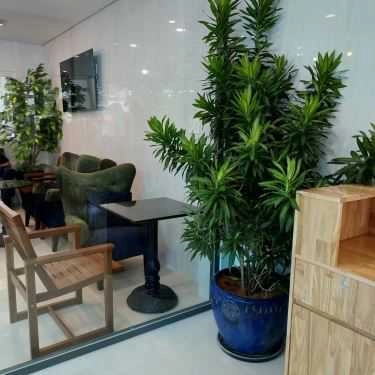 Tổng hợp- Cafe Trà Sữa Alishan