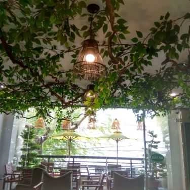 Tổng hợp- Cafe Trà Sữa Alishan