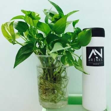 Món ăn- Cafe Trà Sữa - An Drinks