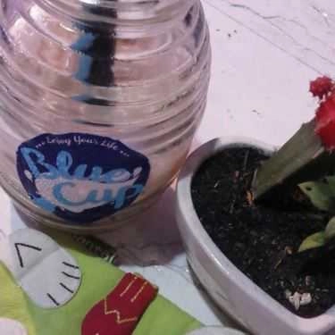 Tổng hợp- Cafe Trà Sữa Blue Cup