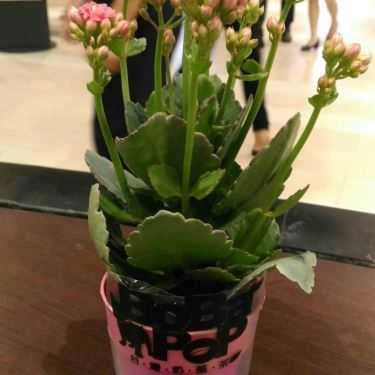 Tổng hợp- Cafe Trà Sữa Bobapop - AEON Mall Bình Tân