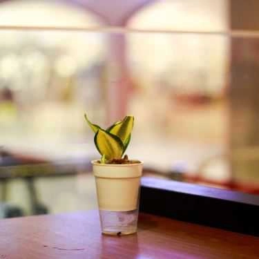 Tổng hợp- Cafe Trà Sữa Bobapop - AEON Mall Tân Phú