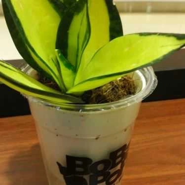 Tổng hợp- Cafe Trà Sữa Bobapop - AEON Mall Tân Phú