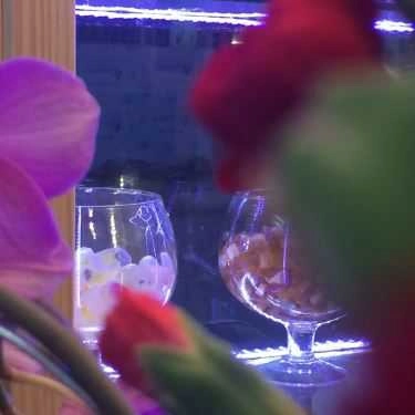 Tổng hợp- Cafe Trà Sữa BTM