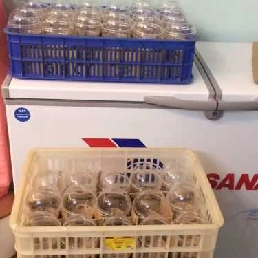 Tổng hợp- Cafe Trà Sữa BTM