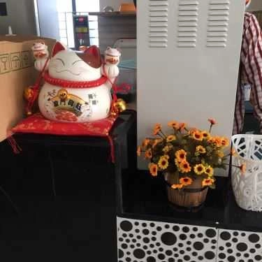 Tổng hợp- Cafe Trà Sữa C'mon