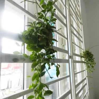 Tổng hợp- Cafe Trà Sữa Eros