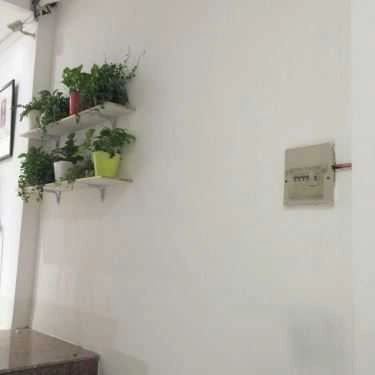 Tổng hợp- Cafe Trà Sữa Gong Cha - 貢茶 - Phan Xích Long