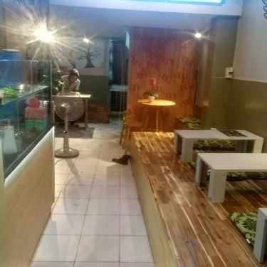 Không gian- Cafe Trà Sữa Helen