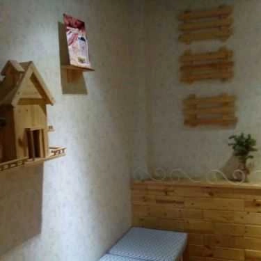 Tổng hợp- Cafe Trà Sữa Hoa Hướng Dương - Nguyễn Văn Nghi