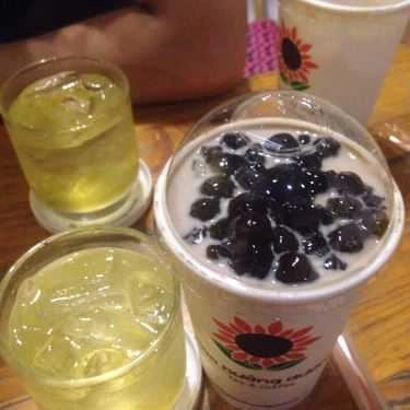 Tổng hợp- Cafe Trà Sữa Hoa Hướng Dương - Nguyễn Văn Nghi